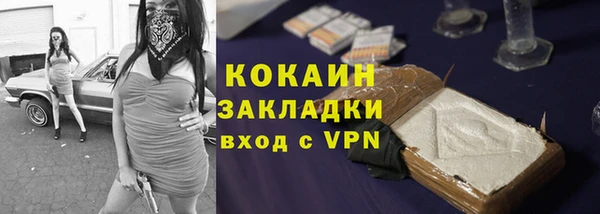 СК Алзамай