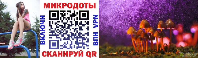 купить наркотики цена  Дзержинск  Галлюциногенные грибы Cubensis 